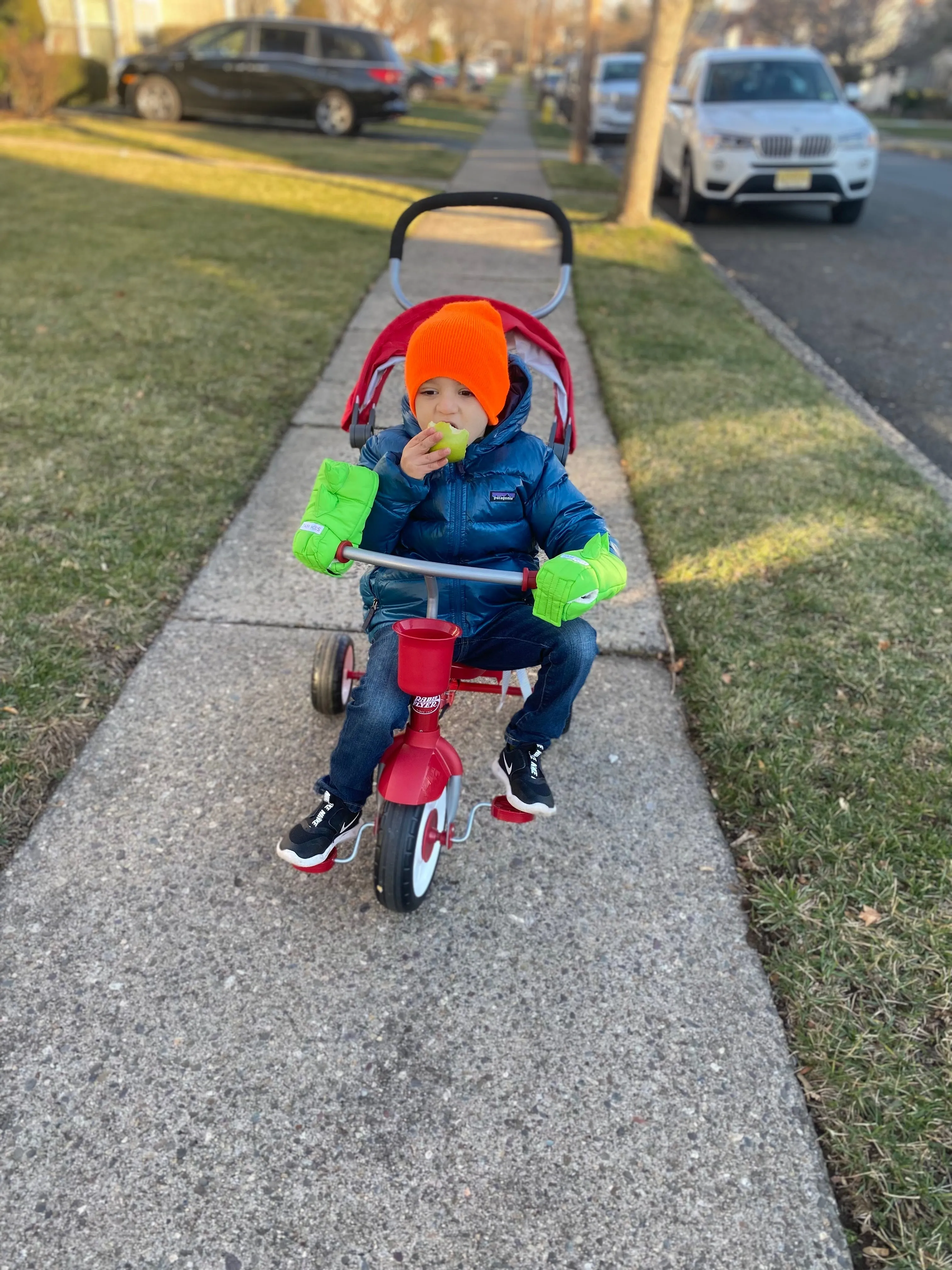 Kids Scooter Warmmuffs - Dino